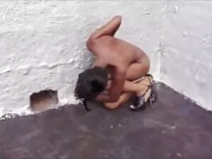 هوپ هاول با ماندینگو ...